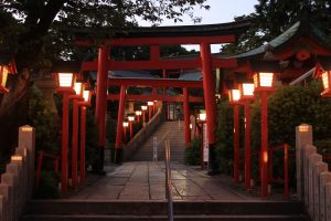 三光稲荷神社　ライトアップ　愛知県犬山市観光・風景撮影スポットの写真や画像