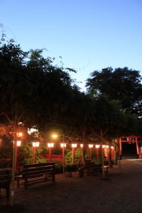 三光稲荷神社　ライトアップ　愛知県犬山市観光・風景撮影スポットの写真や画像