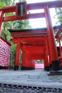 三光稲荷神社　鳥居　愛知県犬山市観光・風景撮影スポット写真や画像