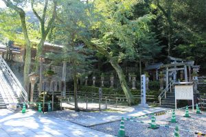 伊奈波神社　黒龍大神社　岐阜県岐阜市観光・撮影スポットの写真や画像