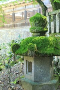 伊奈波神社　献灯　岐阜県岐阜市観光・撮影スポットの写真や画像