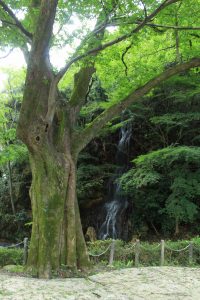 岐阜公園　御手洗滝　岐阜県岐阜市観光・風景撮影スポットの写真や画像