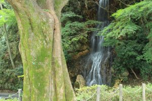 岐阜公園　御手洗滝　岐阜県岐阜市観光・風景撮影スポットの写真や画像