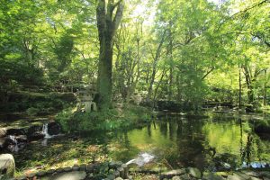 岐阜公園　信長の庭　新緑　岐阜県岐阜市観光・風景撮影スポットの写真や画像