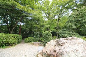 岐阜公園　信長の庭　新緑　岐阜県岐阜市観光・風景撮影スポットの写真や画像