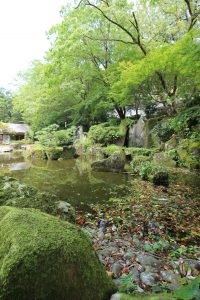岐阜公園　信長の庭　紅葉（もみじ）　岐阜県岐阜市観光・風景撮影スポットの写真や画像