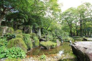 岐阜公園　信長の庭　紅葉（もみじ）　岐阜県岐阜市観光・風景撮影スポットの写真や画像