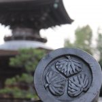 大樹寺　（多宝塔）　岐阜県揖斐郡の観光・撮影スポットの写真や画像