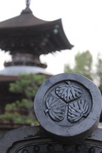 大樹寺　（多宝塔）　岐阜県揖斐郡の観光・撮影スポットの写真や画像