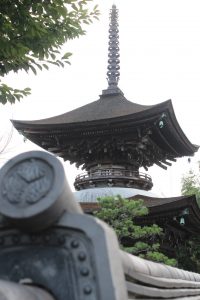 大樹寺　（多宝塔）　岐阜県揖斐郡の観光・撮影スポットの写真や画像ト