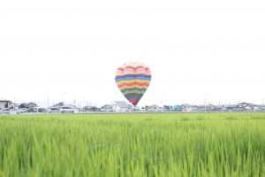 デンパーク（熱気球）　安城市観光・撮影スポットの写真や画像