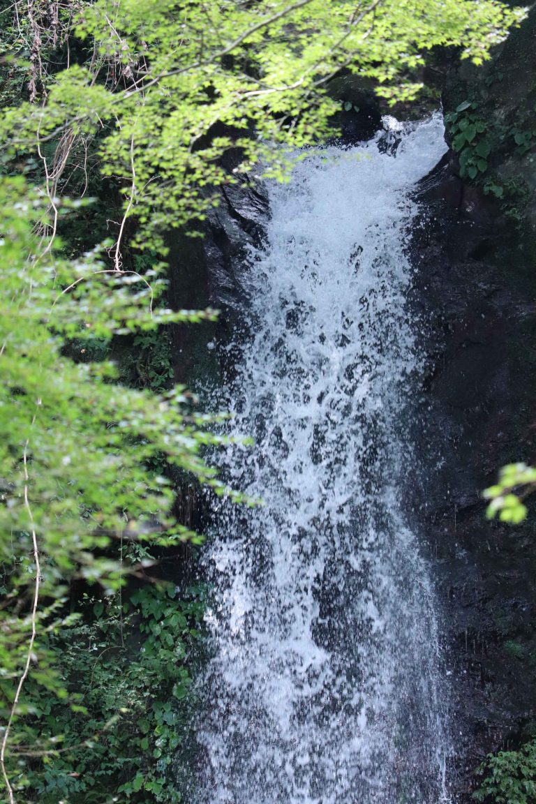 養老の滝（8月）岐阜県養老郡の観光・撮影スポットの名所
