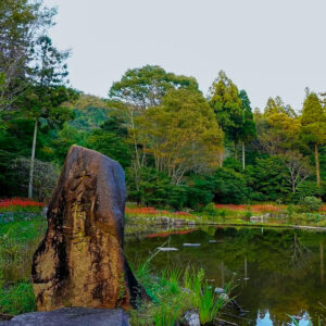 大智寺、彼岸花、9月の秋、岐阜県岐阜市の観光・撮影スポットの名所