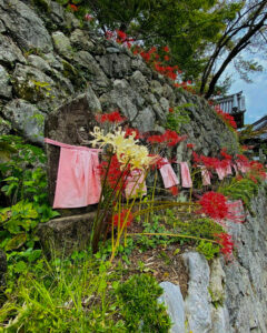 明星輪寺、彼岸花、岐阜県大垣市の観光・撮影スポットの名所