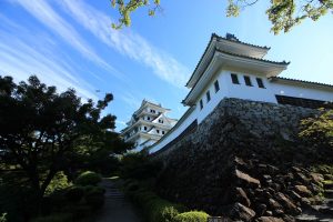 郡上八幡城（9月）　岐阜県郡上八幡市観光・撮影スポットの写真や画像