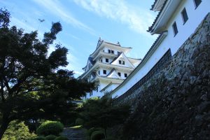 郡上八幡城（9月）　岐阜県郡上八幡市観光・撮影スポットの写真や画像