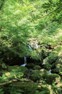 阿弥陀ケ滝（９月）　岐阜県郡上市の観光・撮影スポットの写真や画像