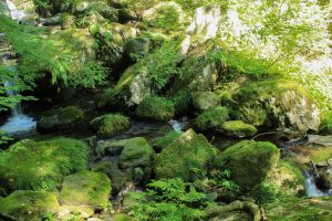 阿弥陀ケ滝（９月）　岐阜県郡上市の観光・撮影スポットの写真や画像