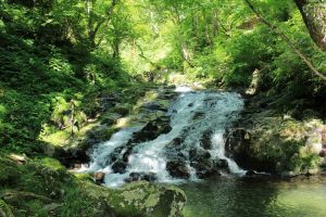 阿弥陀ケ滝（９月）　岐阜県郡上市の観光・撮影スポットの写真や画像
