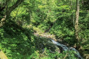 阿弥陀ケ滝（９月）　岐阜県郡上市の観光・撮影スポットの写真や画像