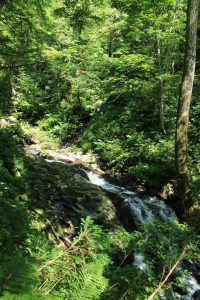 阿弥陀ケ滝（９月）　岐阜県郡上市の観光・撮影スポットの写真や画像
