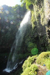 阿弥陀ケ滝（９月）　岐阜県郡上市の観光・撮影スポットの写真や画像