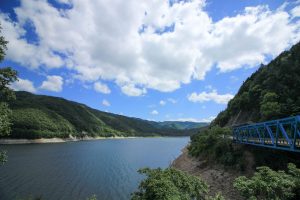 荘川桜。９月葉桜、岐阜県郡上八幡市の観光・風景撮影スポットの写真と画像
