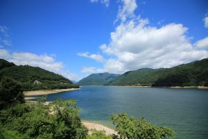荘川桜。９月葉桜、岐阜県郡上八幡市の観光・風景撮影スポットの写真と画像