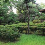 桶狭間古戦場伝説地（7月）　愛知県豊明市観光・撮影スポットの写真や画像