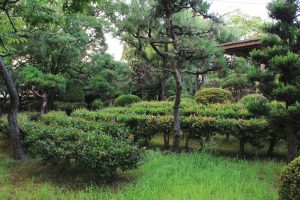 桶狭間古戦場伝説地（7月）　愛知県豊明市観光・撮影スポットの写真や画像