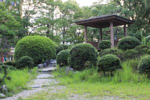 桶狭間古戦場伝説地（7月）　愛知県豊明市観光・撮影スポットの写真や画像