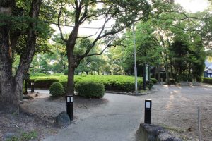 桶狭間古戦場伝説地（7月）　愛知県豊明市観光・撮影スポットの写真や画像