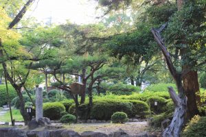 桶狭間古戦場伝説地（7月）　愛知県豊明市観光・撮影スポットの写真や画像