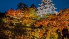 郡上八幡城 紅葉 岐阜県郡上市の観光 撮影スポットの名所 東海カメラマップ