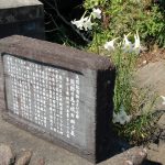 鬼ヶ城　獅子岩　景色　風景　三重県熊野市の観光・撮影スポットの画像と写真