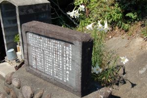 鬼ヶ城　獅子岩　景色　風景　三重県熊野市の観光・撮影スポットの画像と写真
