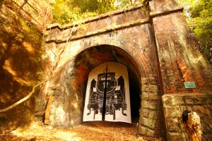 定光寺　愛岐トンネル群　紅葉　大もみじ　愛知県春日井市の観光・撮影スポットの画像や写真