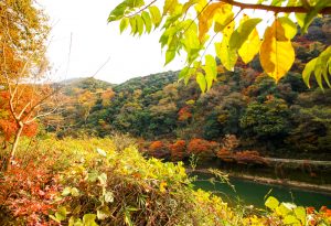 定光寺　愛岐トンネル群　紅葉　大もみじ　愛知県春日井市の観光・撮影スポットの画像や写真