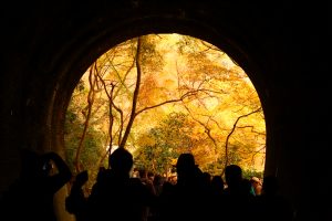 定光寺　愛岐トンネル群　紅葉　大もみじ　愛知県春日井市の観光・撮影スポットの画像や写真