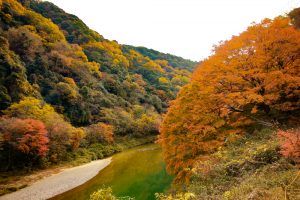定光寺　愛岐トンネル群　紅葉　庄内川　愛知県春日井市の観光・撮影スポットの画像や写真