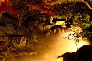 ライトアップ　白鳥庭園　観楓会(かんぷうかい)／あかりアート　名古屋市熱田区の観光・撮影スポットの画像や写真