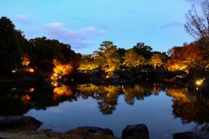 ライトアップ　白鳥庭園　観楓会(かんぷうかい)／あかりアート　名古屋市熱田区の観光・撮影スポットの画像や写真