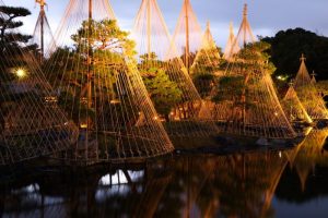 ライトアップ　白鳥庭園　観楓会(かんぷうかい)／あかりアート　名古屋市熱田区の観光・撮影スポットの画像や写真