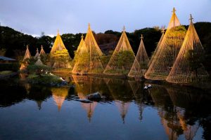 ライトアップ　白鳥庭園　観楓会(かんぷうかい)／あかりアート　名古屋市熱田区の観光・撮影スポットの画像や写真