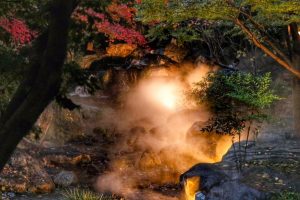 ライトアップ　白鳥庭園　観楓会(かんぷうかい)／あかりアート　名古屋市熱田区の観光・撮影スポットの画像や写真