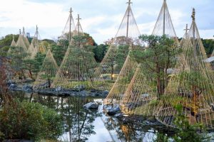 雪つり　白鳥庭園　観楓会(かんぷうかい)／あかりアート　名古屋市熱田区の観光・撮影スポットの画像や写真