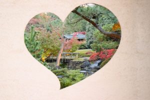 白鳥庭園　観楓会(かんぷうかい)／あかりアート　名古屋市熱田区の観光・撮影スポットの画像や写真