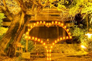 祖父江イチョウ黄葉まつり 愛知県稲沢市観光・撮影スポットの画像や写真
