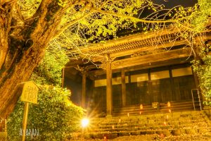 祖父江イチョウ黄葉まつり 愛知県稲沢市観光・撮影スポットの画像や写真