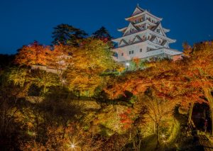 郡上八幡城の紅葉　和傘　ライトアップイベント　岐阜県郡上市八幡町の観光・撮影スポットの画像や写真